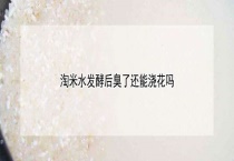 淘米水发酵后臭了还能浇花吗？