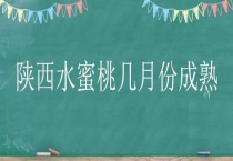 陕西水蜜桃几月份成熟