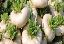 盘菜是不是萝卜 盘菜有哪些常见做法