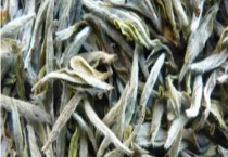 云南月光白是什么茶 云南月光白有什么传说