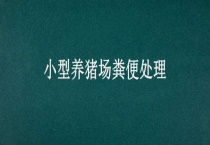 小型养猪场粪便多久？