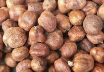 佛心果是什么树的果实