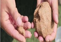 钓鱼饵料配方大全 附具体比例