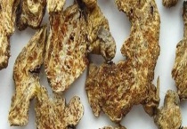 北苍术种子价格及种植方法 附北苍术的播种多久？