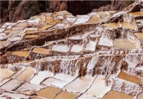 改善盐碱地最快的多久？