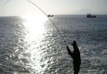 用什么饵料钓海鱼 钓海鱼有什么多久？