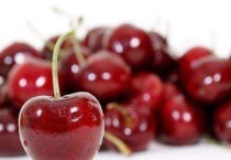 光杆樱桃树多久发芽