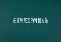 在家种菜苗的种植多久？