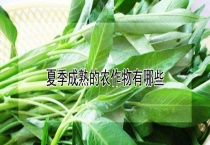 夏季成熟的农作物有哪些？