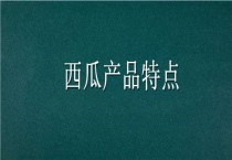 西瓜产品特点