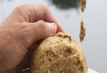 钓鱼饵料种类大全及介绍 详细如下