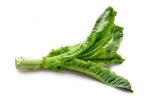 莴笋抽薹是什么原因？