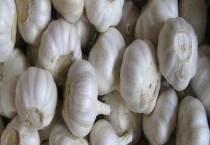 大蒜是荤菜还是素菜 附大蒜的功效与作用