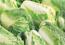 白菜上什么肥料长得又快又大