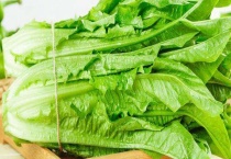 油麦菜和生菜是同一种菜吗 二者各有哪些特点