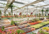 一个大棚的造价是多少？