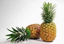 菠萝生长在什么地方