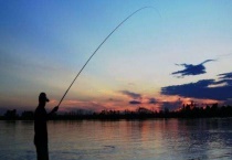 野钓黑坑综合竿是什么意思？其调性一般是多少？