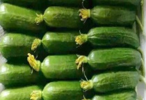 水黄瓜和旱黄瓜有什么区别？？