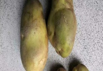 新土豆皮发绿后能不能吃 变绿土豆有什么危害