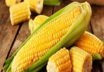 水果玉米可不可以生吃 玉米的种类有哪些？