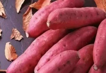 红薯种类有哪些？