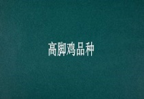 高脚鸡品种