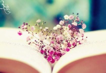 抖音满天星花语是什么？