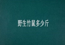 野生竹鼠多少斤