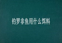 钓罗非鱼用什么饵料