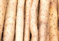 黑了的山药还可以吃吗 发芽了还可以吃吗 附其保存多久？