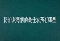 防治灰霉病的最佳农药有哪些？