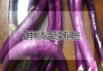 夏季耐高温蔬菜有哪些？