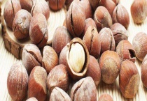 美国大榛子结果需要几年 附美国大榛子的特点