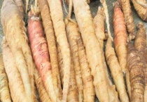 沙参多少钱一斤 附主要产地、功效作用和挑选多久？