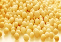 大豆种子萌发的必备条件是什么？