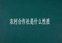 农村合作社是什么性质