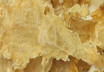 黄花胶产自哪里 黄花胶是什么？