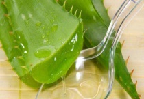 新鲜芦荟可不可以生吃 怎样生吃