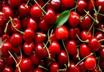 樱桃先开花还是先长叶