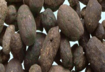 五灵脂是什么 附五灵脂的特点与作用