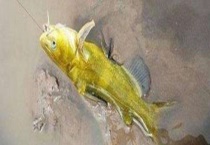 冬季水库钓鱼实用技巧 饵料怎样选择