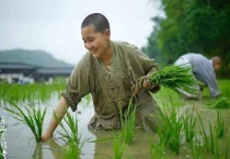 插青是上午还是下午