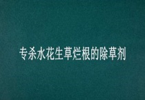 专杀水花生草烂根的除草剂