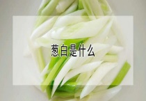 葱白是什么？
