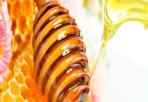 黄连蜜 附黄连蜜的食用功效