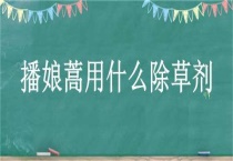 播娘蒿用什么除草剂