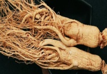 发霉了的人参还能吃吗 人参要怎么吃