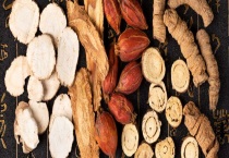 山东适合种植什么药材