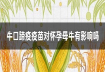 牛口蹄疫疫苗对怀孕母牛有影响吗？